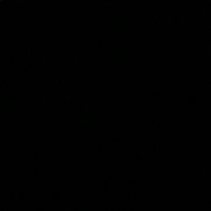 Meet your Posher, Shane